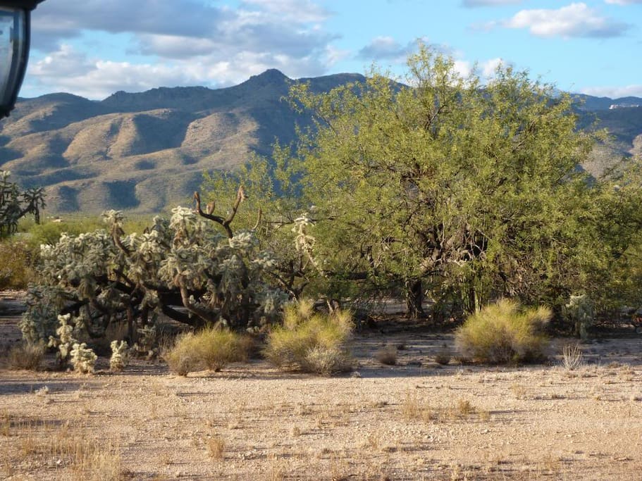 Backyard View of Santa Catalina Mts