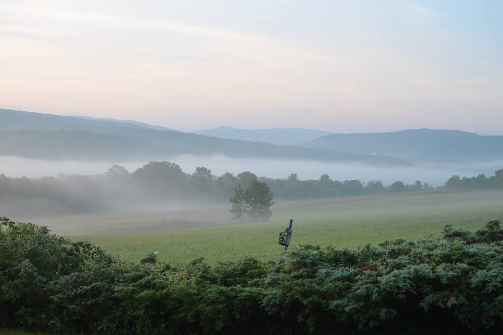 The Hay Field