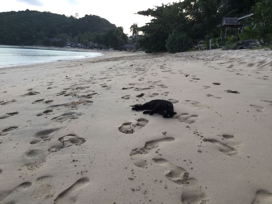 Our beach