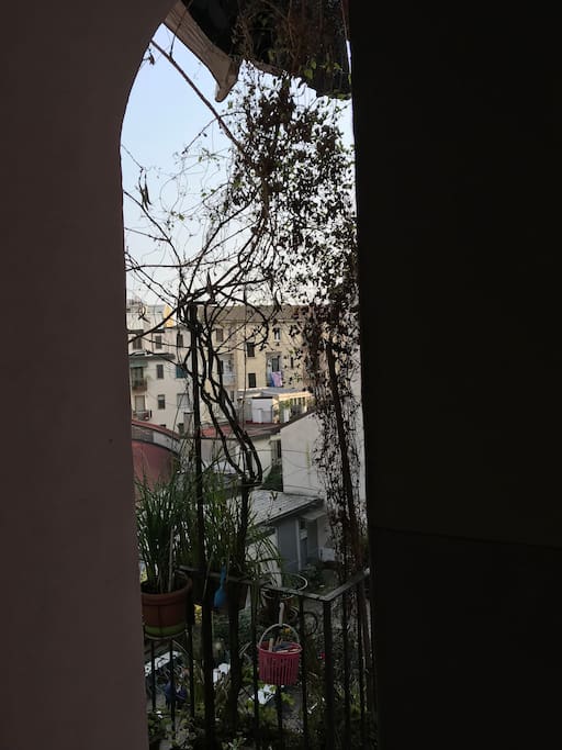 Scorcio dell'ingresso