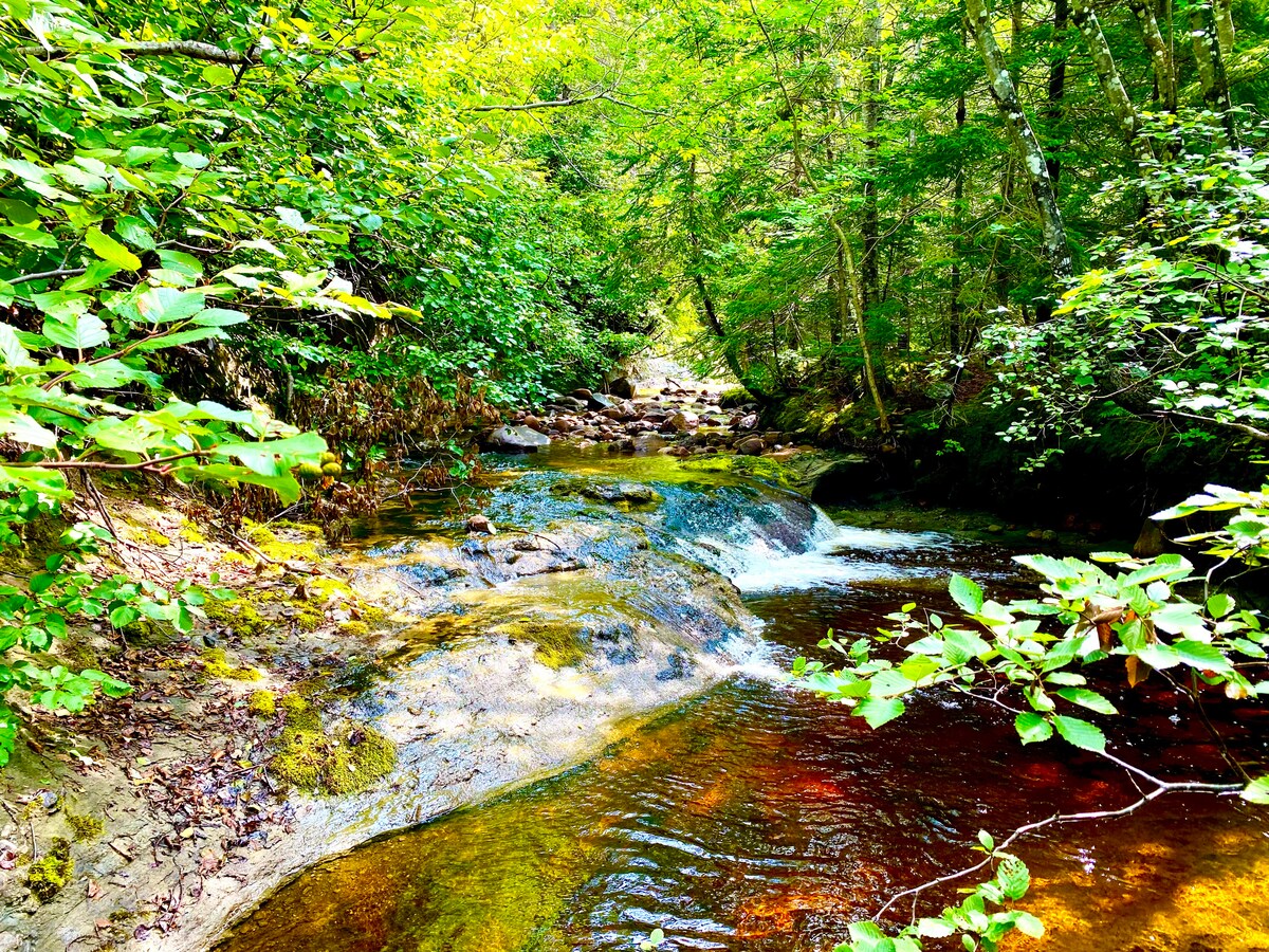 A serene creek flows gently through a lush, green landscape. Sunlight filters through the leaves of surrounding trees, creating dappled light on the water's surface. The shallow, clear waters reveal smooth rocks beneath, while small ripples travel downstream, enhancing the peaceful ambiance.