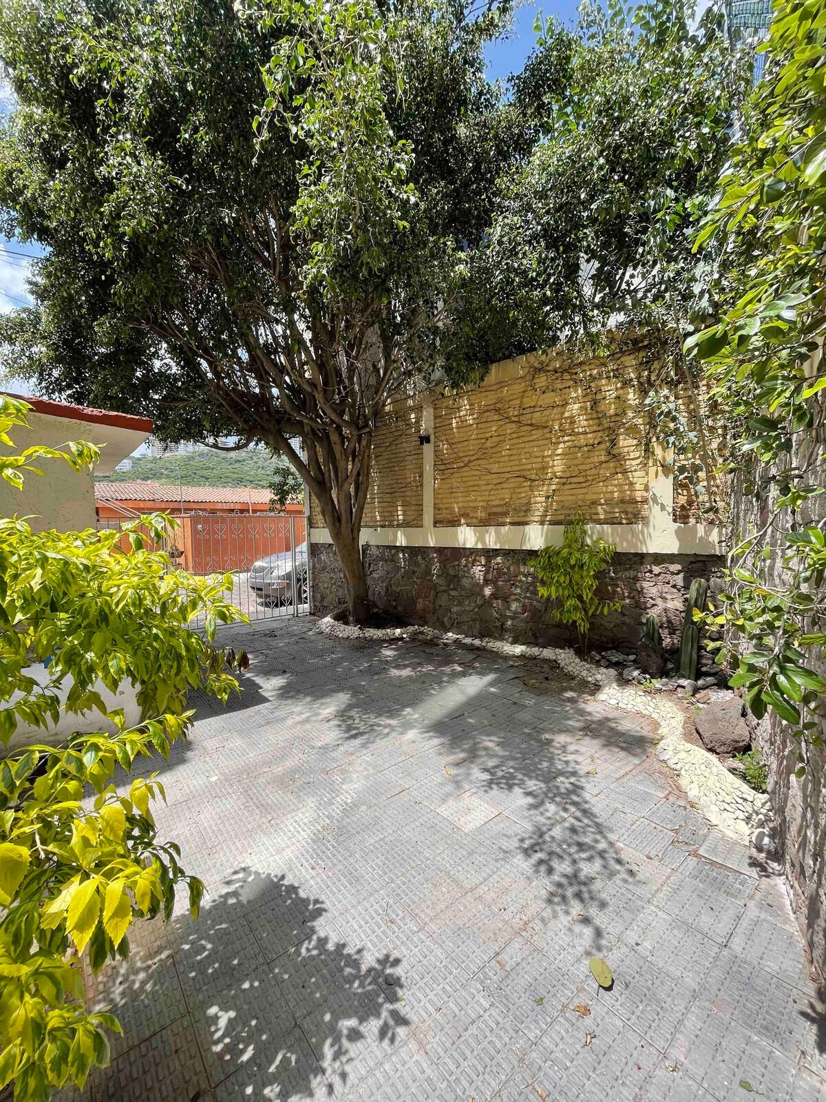 A well-maintained outdoor space is framed by a tall tree and lush greenery. The area features paved flooring and a textured wall, providing a blend of nature and structure. Sunlight filters through the leaves, creating a serene and inviting environment.