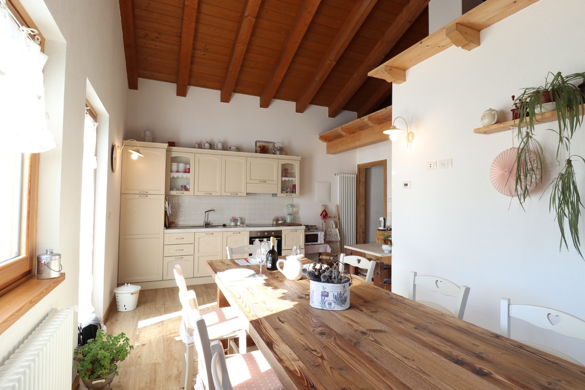 A spacious kitchen area is highlighted by wooden beams overhead, featuring light-colored cabinetry and a wooden dining table. Natural light fills the space through multiple windows, and various kitchen appliances and utensils are neatly arranged. Potted plants and decorative shelves add a touch of greenery.