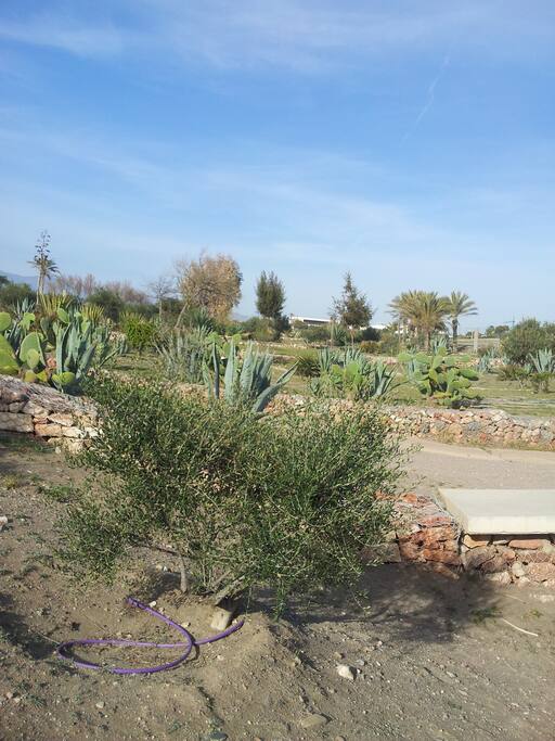 Entorno natural entre la plaza del mar y la urbanizacion