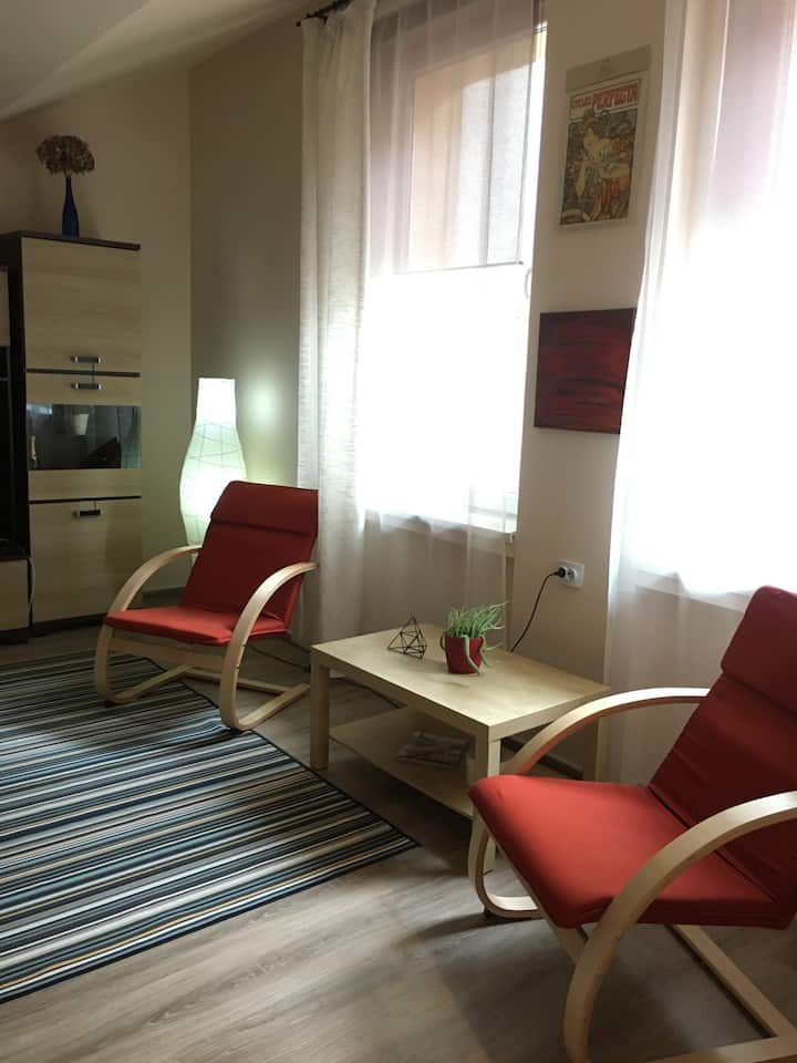 Ambienti ku mund të shikosh televizor , të lexosh ose thjesht të relaksohesh.