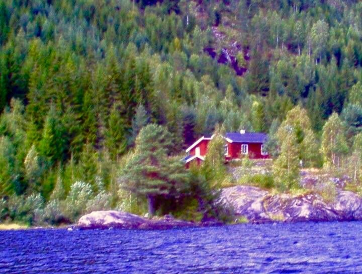 A serene landscape highlights a charming red cabin nestled among lush green trees, overlooking a calm lake. The gently sloping shore and surrounding rocky formations complement the tranquil setting, creating a peaceful retreat in nature.