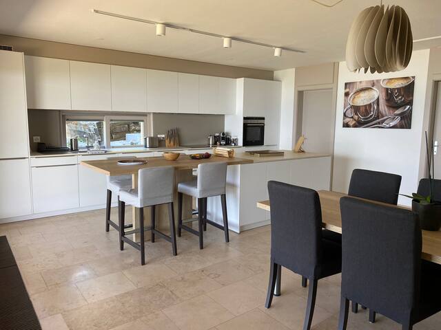 Villa 160m2 et vue paradisiaque sur le lac léman gallery image 3