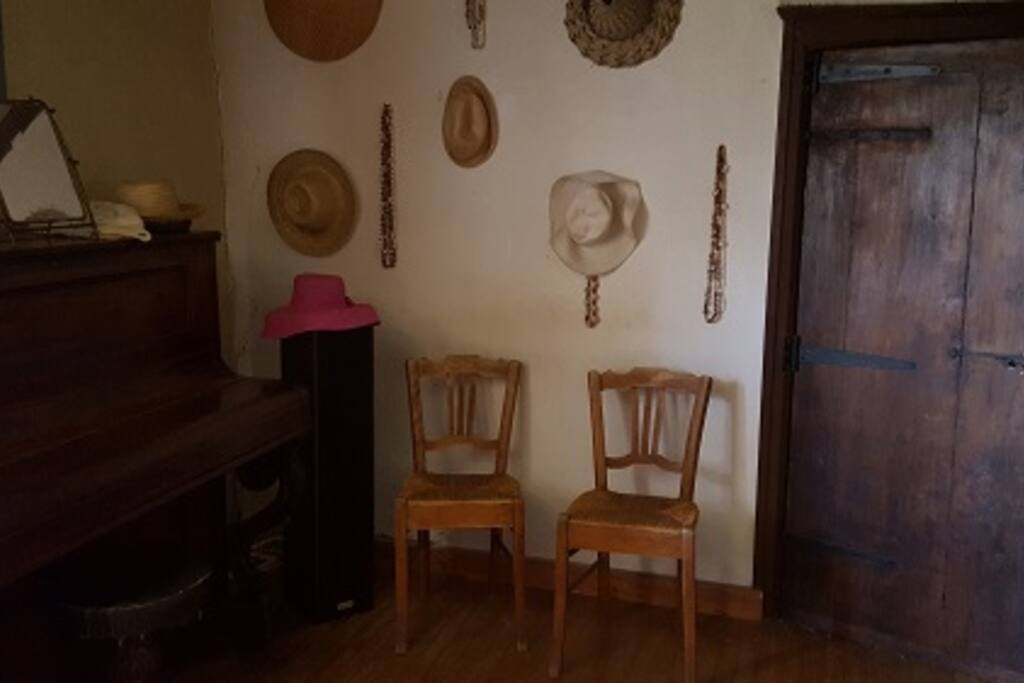 salon