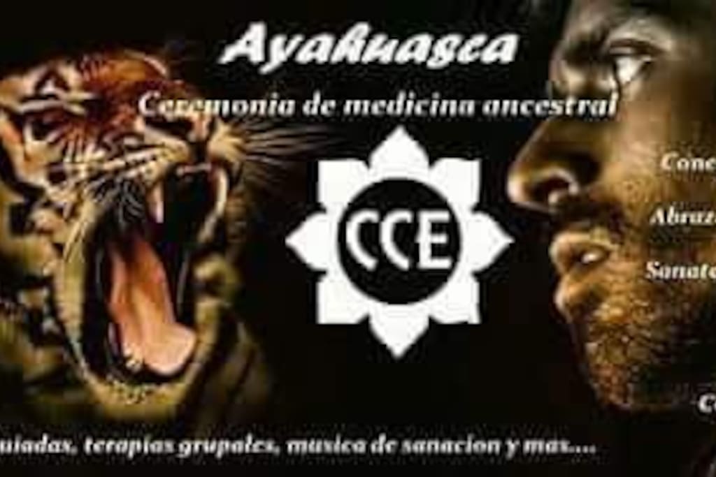 Las ceremonias de Ayahuasca forman parte del proceso ya que está ancestral raíz te ayuda a conectar con te ser interior llevándote a una sanación física emocional logrando tener ese encuentro personal que cambiara tu vida