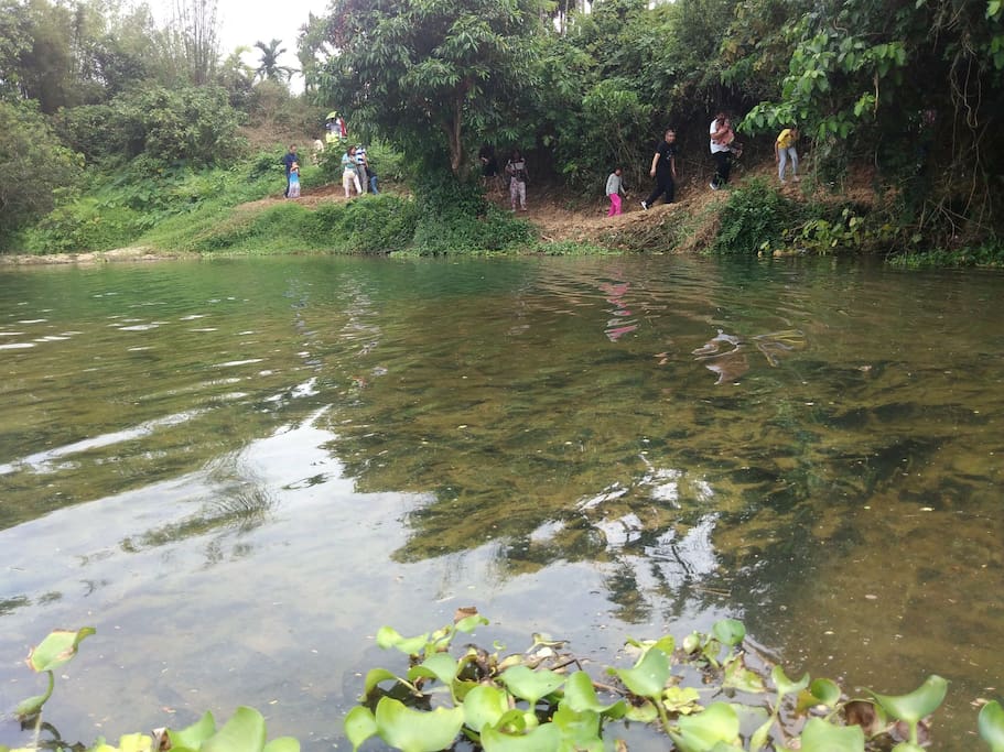 住在民宿,您可以参加农场举办的乡村徒步,这一路,看不一样的风景!