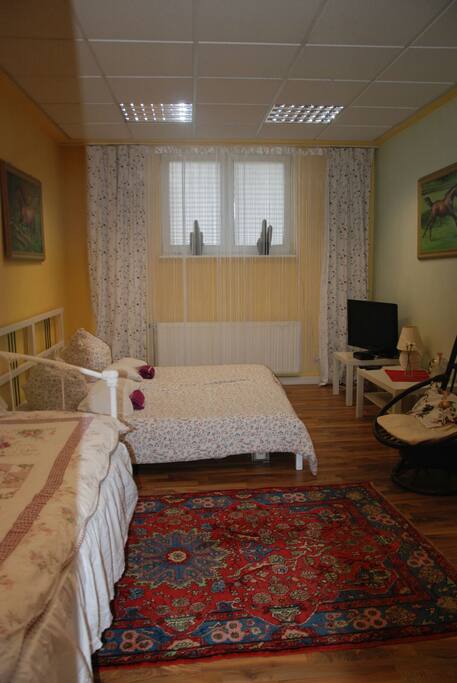 Single wohnung hockenheim