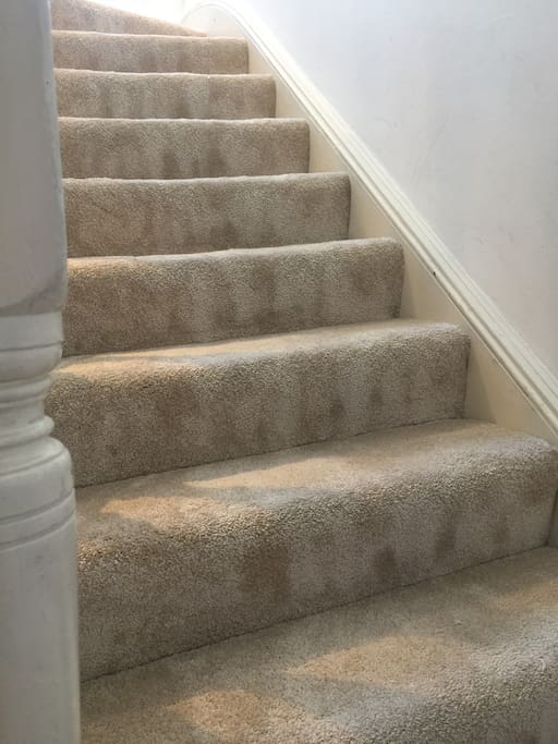 The flat is a duplex - these are the internal stairs