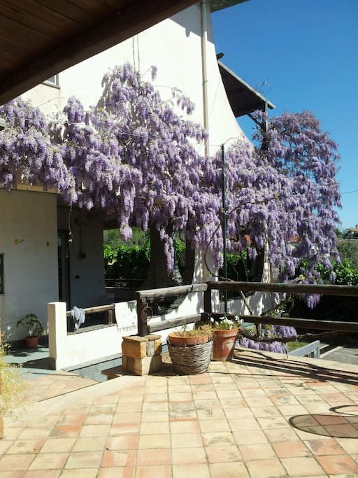Gazebo