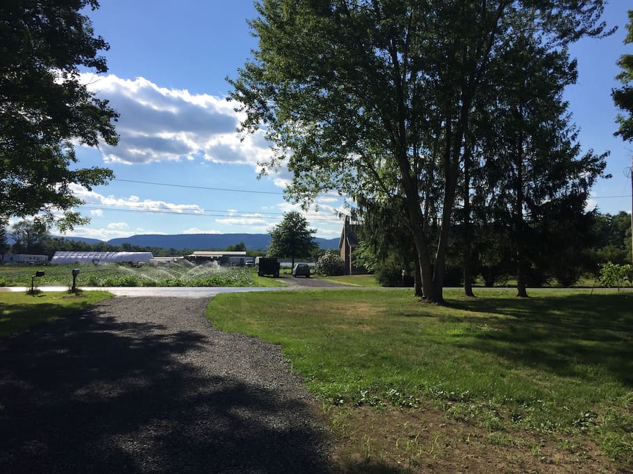 Great view of neighboring organic farm from the deck!