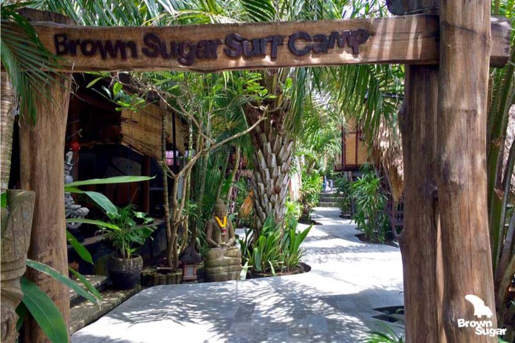 Enter the Surf Camp