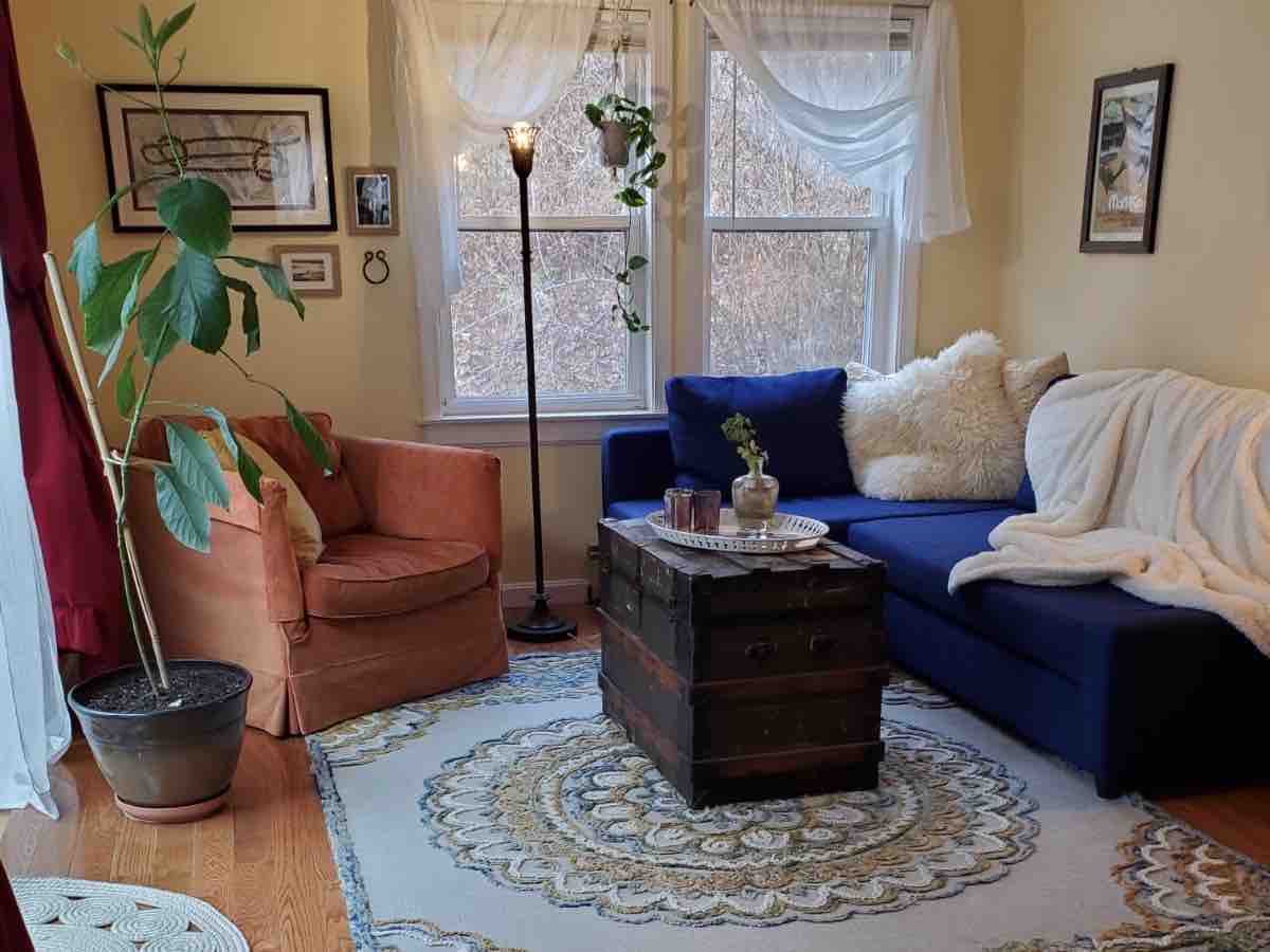 A cozy seating area is illuminated by natural light from two windows, featuring a blue couch and an orange chair. A decorative rug with a circular pattern anchors the space, while a trunk serves as a coffee table. A plant adds a touch of greenery.