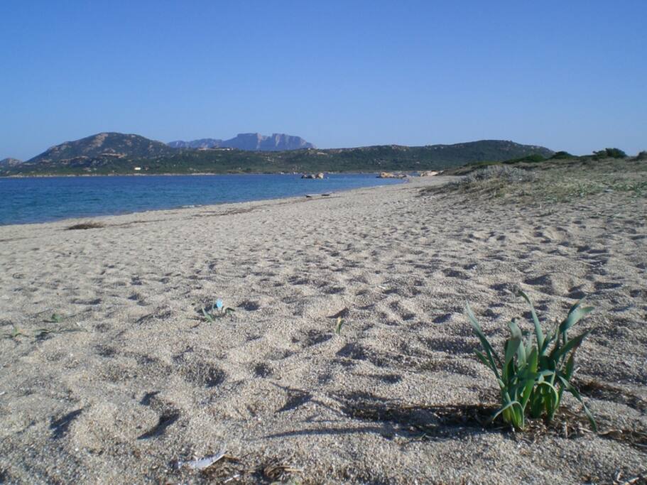 Spiaggia
