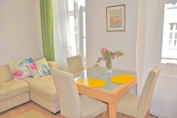 Bright, central apartment in Vienna