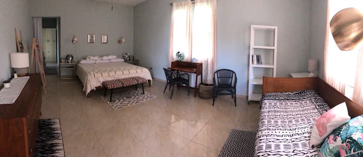 Large downstairs Master bedroom with a king bed and twin bed/daybed 