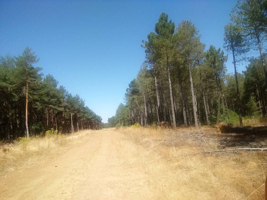 Los maravillosos montes de al rededor