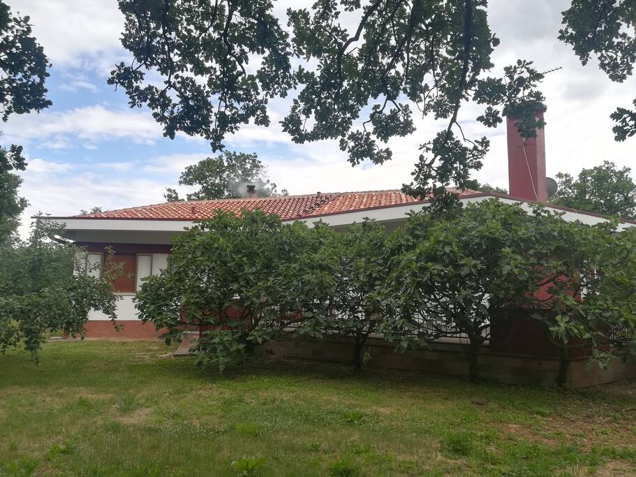 North side of the house