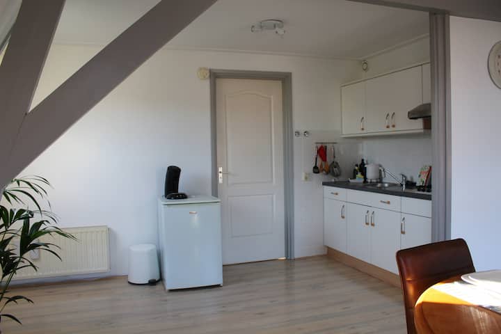 Compleet Appartement Dichtbij Het Strand - 弗利辛恩