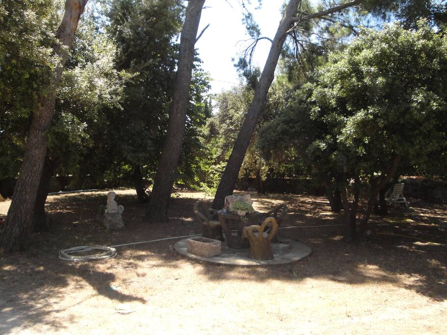 jardin