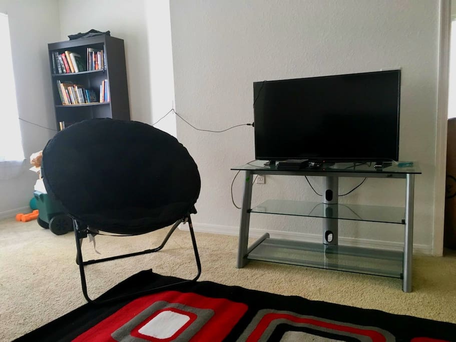 Large flat screen TV