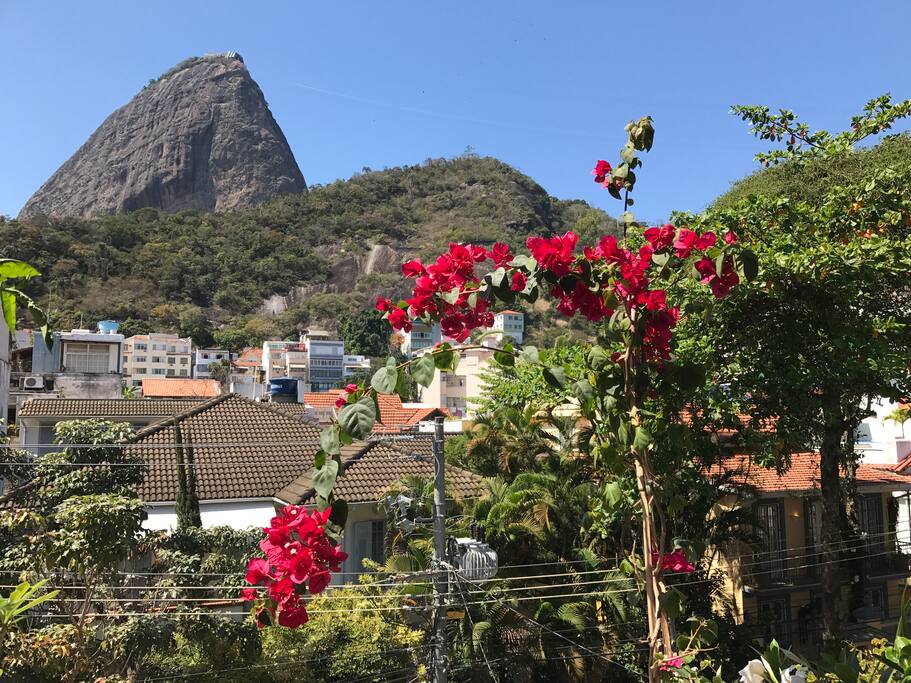 vista da nossa janela e balcão.