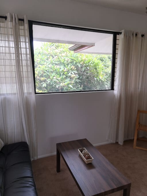 Living Room Window