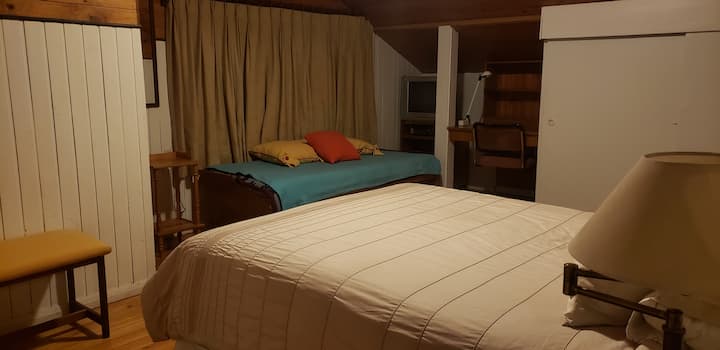 Glavna spavaća soba sa spojenom kupaonicom