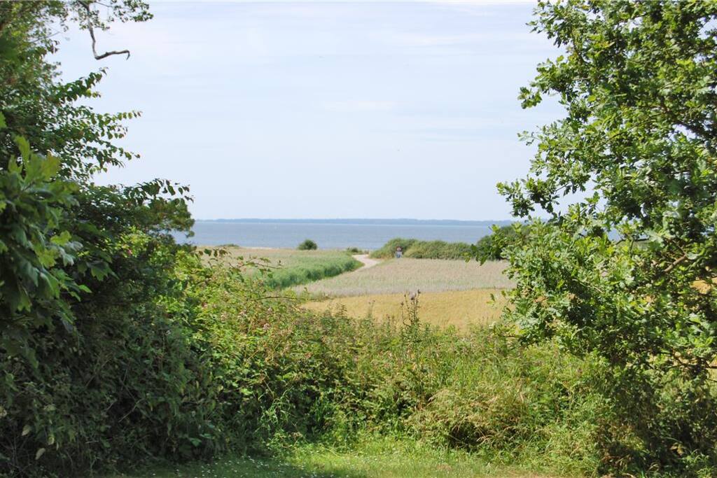 Ocean view from the garden