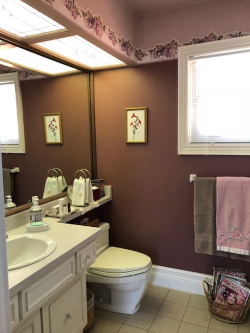 The Manor room private bathroom with bath & shower over the tub