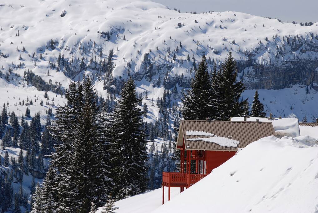All slopes are visible from the chalet. / Toutes les pistes sont visibles depuis le chalet. / Alle skipistes zijn zichtbaar vanuit de chalet.