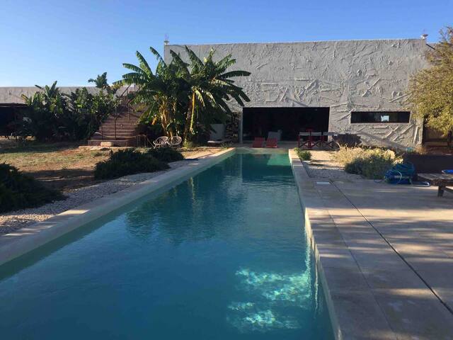 Villa Guaceto vicino spiagge di Torre Guaceto gallery image 5