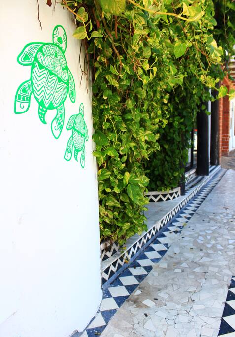 Tortugas pintadas en acceso del Apart Hotel Tortuga