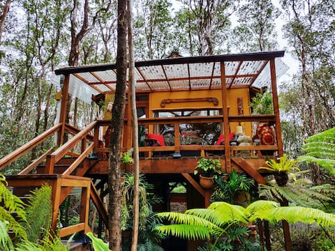 Tranquilla casa sull'albero nella foresta pluviale