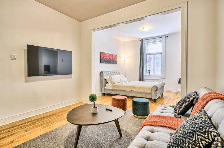 Lovely Spacious Apartment Downtown Montreal