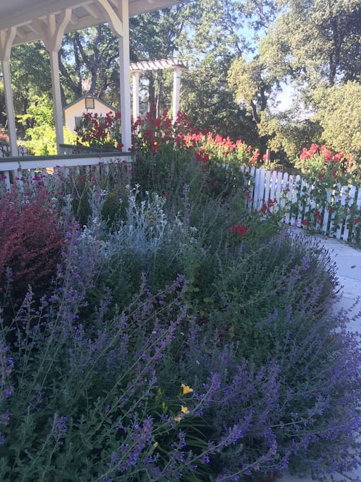 gardens blooming in springtime