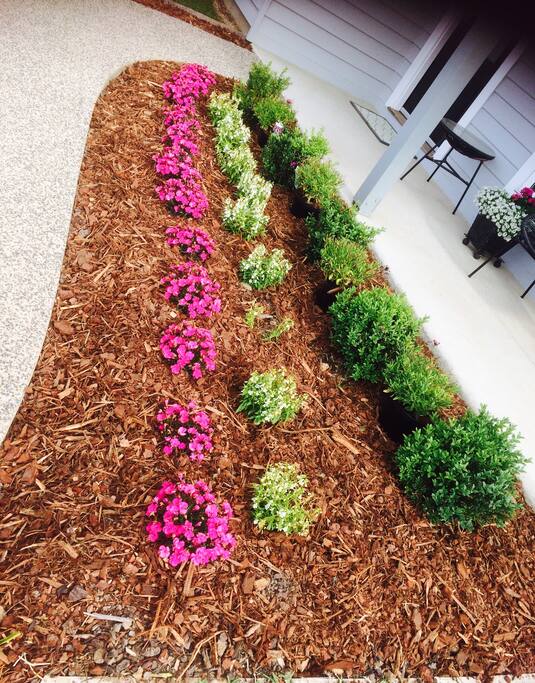 A seasonal garden to admire for its colourful display