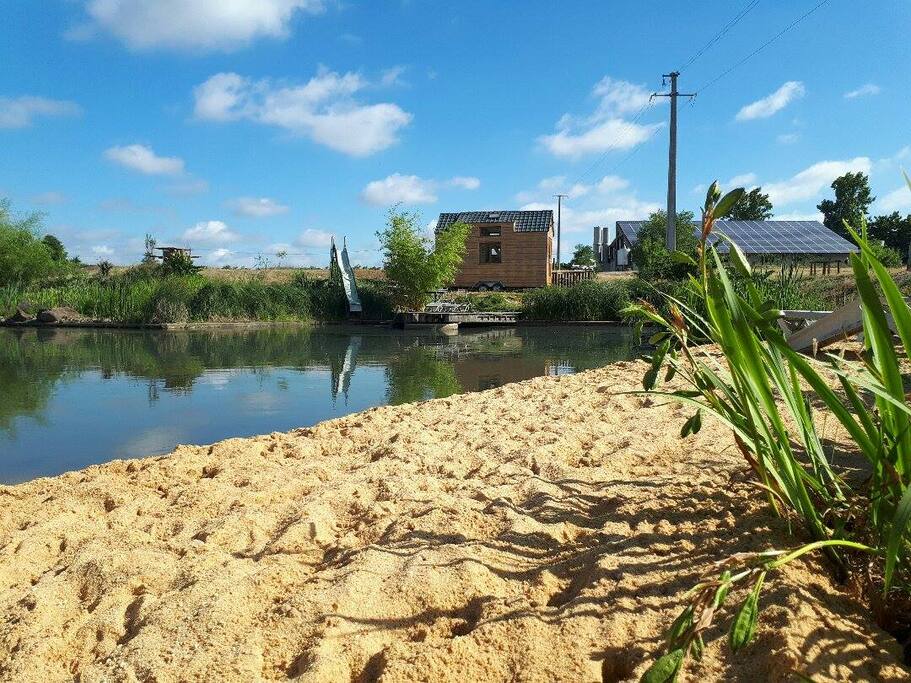 piscine naturelle et sa plage