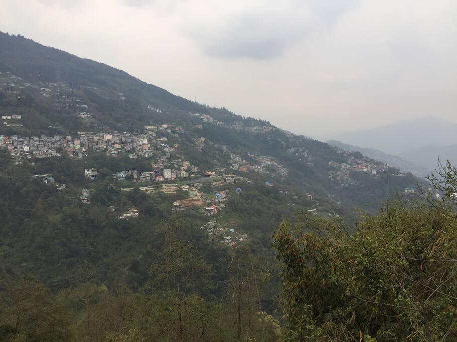 view from the house