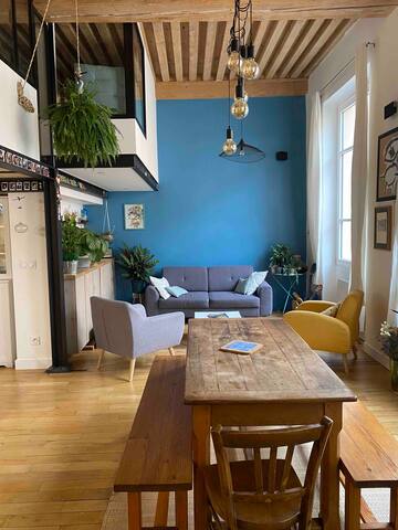 Lyon 4ème, cœur croix-rousse – superbe canut gallery image 5