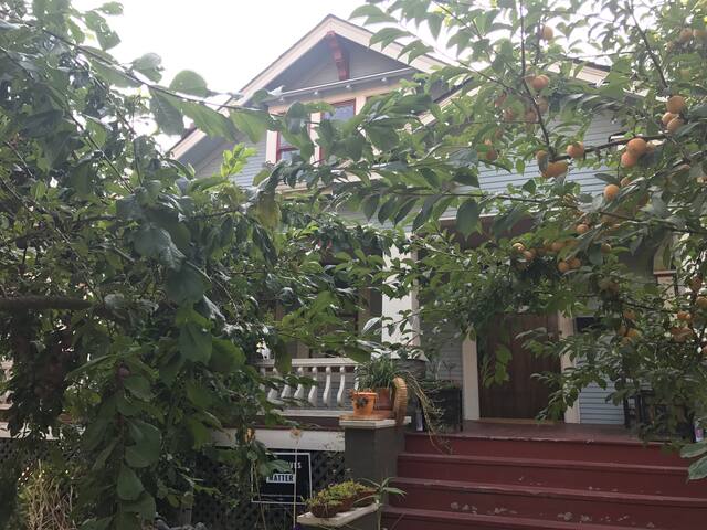 Mid Century Portland Sanctuary. gallery image 3