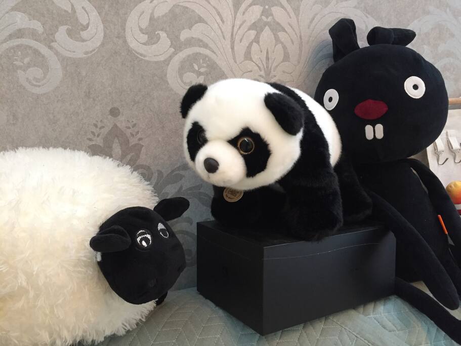 客厅动物们的悄悄话,是不是在商量着迎接新朋友的到来呢~