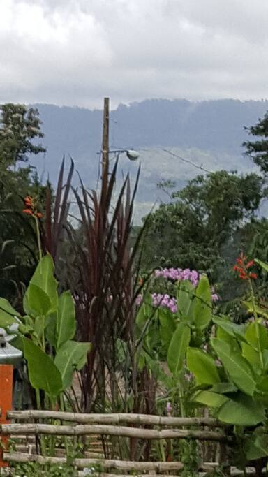 Mountain and Garden View