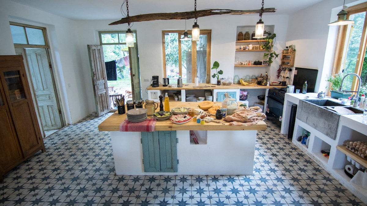 A spacious kitchen featuring a central wooden island topped with an assortment of food, including bread and snacks. Natural light pours in through large windows, illuminating the patterned tile floor. Shelves display dishes and plants, complementing the rustic wooden elements throughout.
