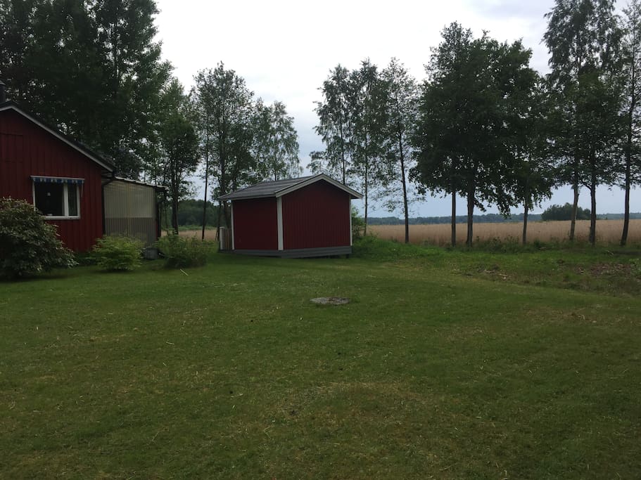 Gräsytor.