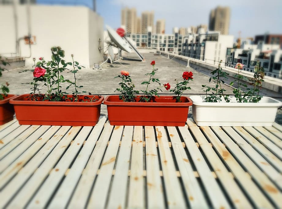 roof garden at apartment