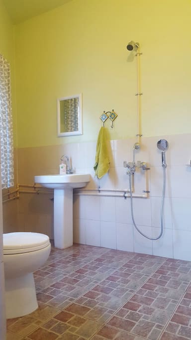 Attached bathroom with shower and geyser